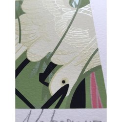 Photo4: "The Kyoka's heroine series by Gaku Nakagawa" #01"RYUTANDAN"